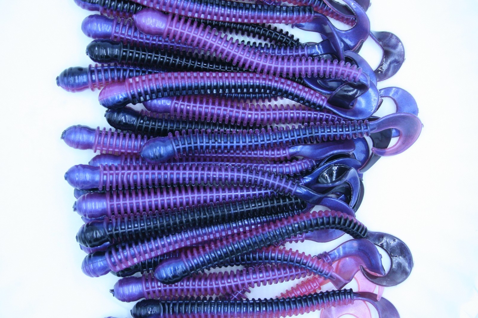 4" Tequila Sunrise Disc Ring Worms Soft Plastic Worms Walleye Bass Fishing